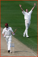 Martin Bicknell celebrates the wicket of John Blain