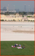 Cricketing Oasis, Pakistan v England, Abu Dhabi, 2012