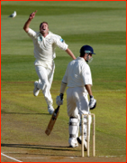 Chris Drum celebrates the wicket of Michael Vaughan.