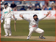 Mushtaq Ahmed appeals for the lbw of Shane Warne