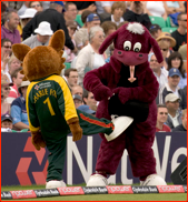 County mascots fight on the boundary, T20 finals day