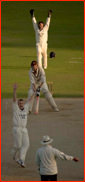 Bowler Scott Styris appeals and Rikki Clarke is lbw