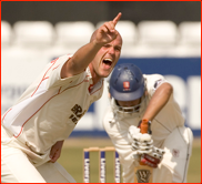 David Harrison appeals for the lbw of Ravi Bopara