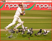 Matt Nicholson kills a pigeon batting against Yorkshire