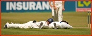 Players take cover as a swarm of bees cross the ground