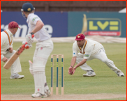 David Sales watches Andrew Hall catch Kane Williamson