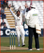 Chaminda Vaas appeals as Darren Stevens is lbw, 2012