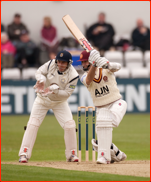 Stephen Peters bats v Hampshire, 2012