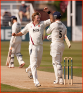 David Willey celebrates removing Alex Gidman, 2012