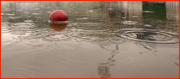 The rain interrupted England v WI Test, Edgbaston, 2012