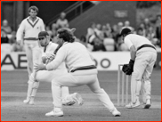 Tim Robinson bats, v Somerset, 1984