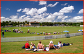 Fitzherbert Park, Palmerston North, New Zealand.