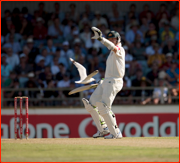 Peter Siddle, seagull stops play, Perth.