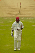 Brian Lara walks off.