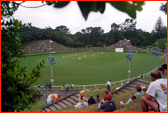 Pukekura Park, New Plymouth, New Zealand.